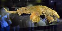 Scientists find 40,000-year-old Mammoth RNA that still contains Information