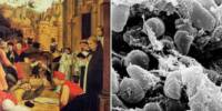 The First Pandemic in History is finally explained by Ancient DNA