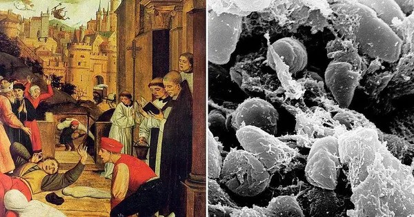 The First Pandemic in History is finally explained by Ancient DNA
