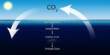 Turning Seas into Carbon Sinks has Serious Hazards, according to Study