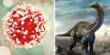 Dinosaurs may be the key to the Discovery of Cancer