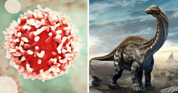 Dinosaurs may be the key to the Discovery of Cancer