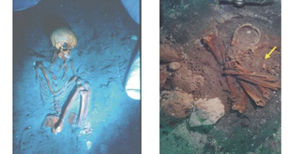 Human remains discovered 5,500 years ago reveal a Long-lost Sickness