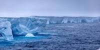 One Significant Carbon Sink may become Weaker as Antarctic Ice Melts