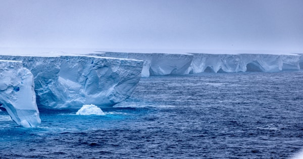 One Significant Carbon Sink may become Weaker as Antarctic Ice Melts
