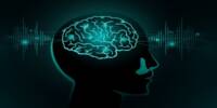 With MIT’s latest Brain Tool, Consciousness may Finally be Explained